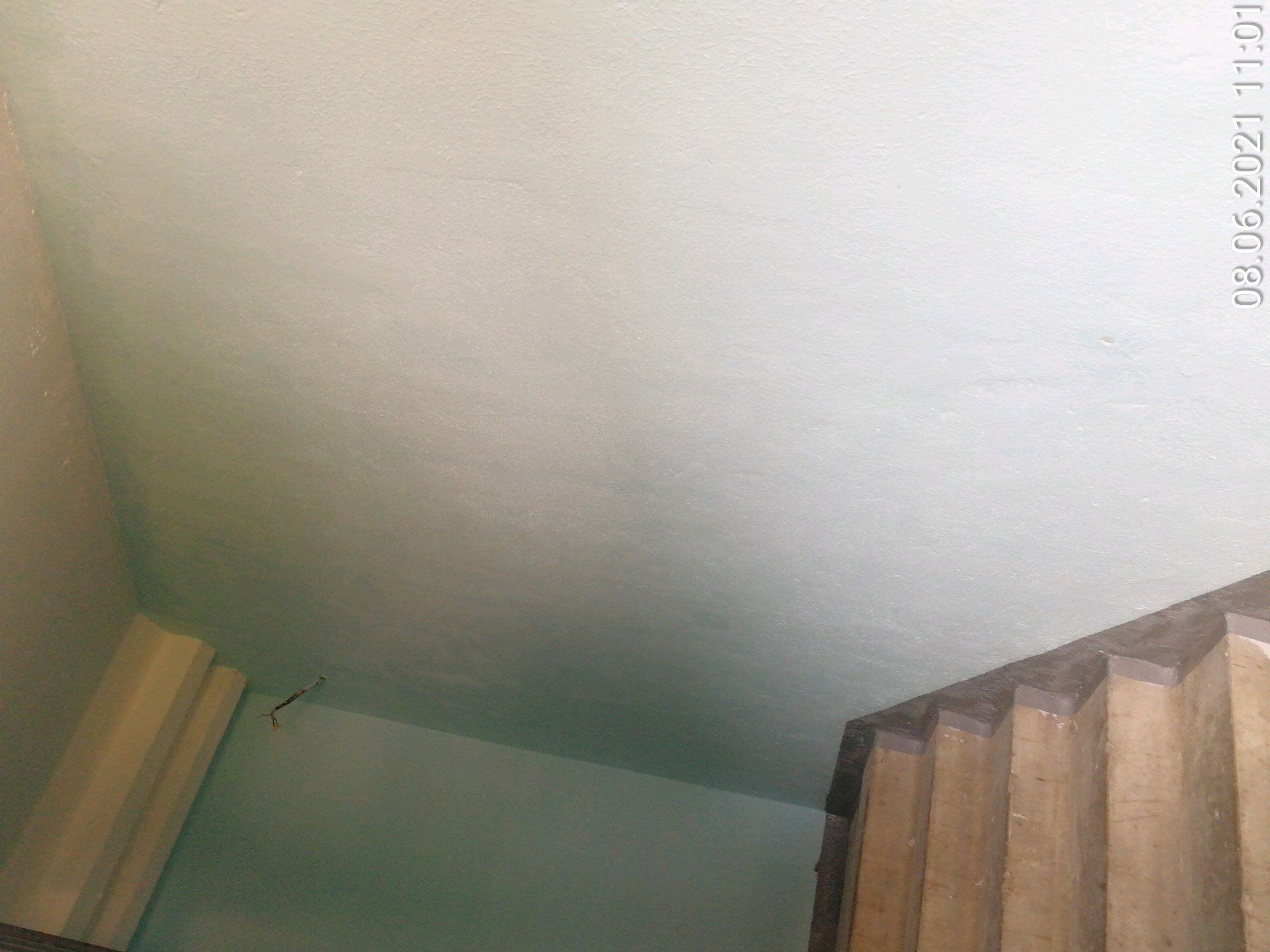 newphoto_20210608_110125.jpg