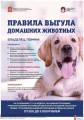 Внимание!
